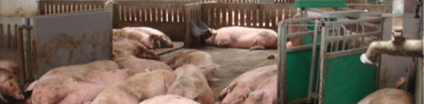 Esta&ccedil;&atilde;o electr&oacute;nica de alimenta&ccedil;&atilde;o