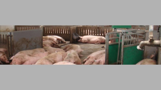 Estação electrónica de alimentação