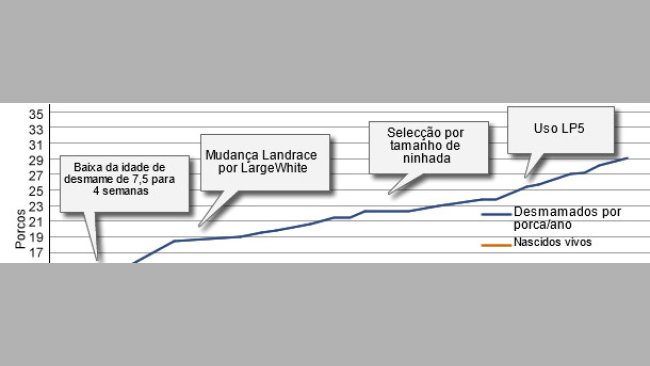 Desarrollo del nivel productivo de las granjas danesas en los últimos 40 años