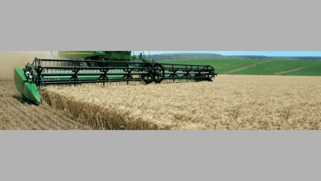 La cosecha ya está aquí