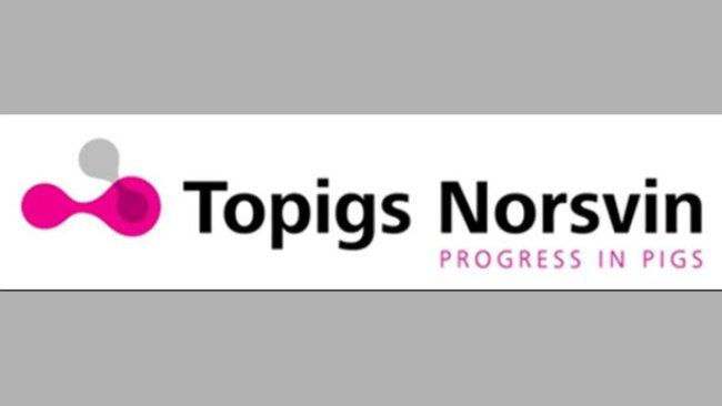 Logo Topigs Norsvin