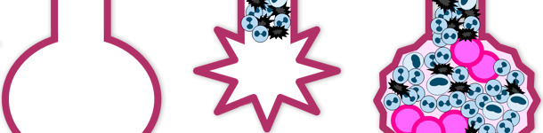 Patogenia del virus de la Influenza porcina