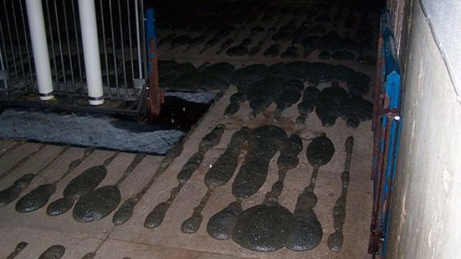 Espuma sobresaliendo del suelo de slat