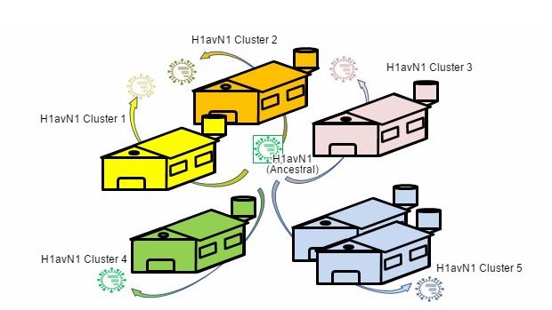 Heterogenicidad gen&eacute;tica y antig&eacute;nica relacionada con la granja