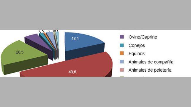 Percentagem da produção de ração espanhola por espécie