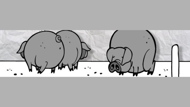 Tanned pigs