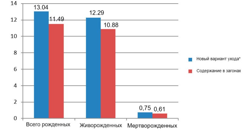 Рисунок 8. Сравнительные результаты среди первородящих свиноматок с декабря 2015 по июнь 2016  (*свиноматки в клетках от отъема до 28 дня беременности).
