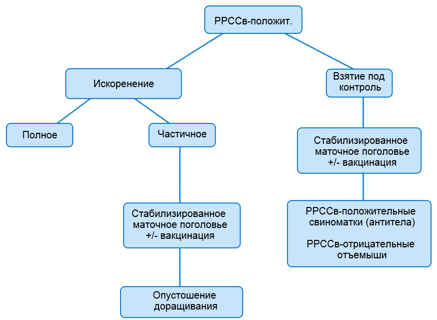 Рисунок 1. Схематичное изображение различных подходов при работе с РРССв-положительными поголовьями

