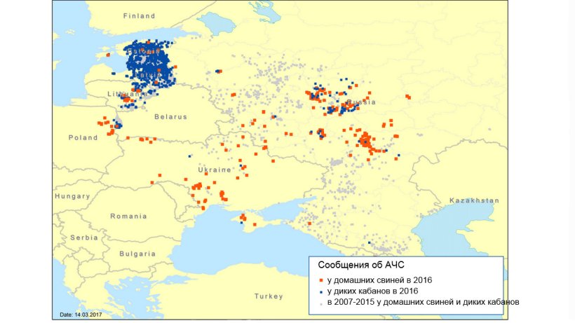 Notifications of ASF in the Eastern Europe region in 2007&ndash;2016
