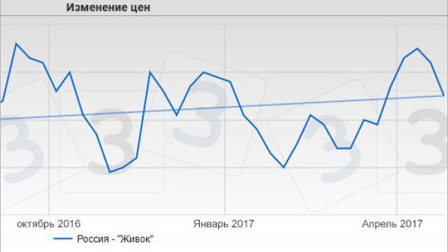 Цена на свиней в Россия