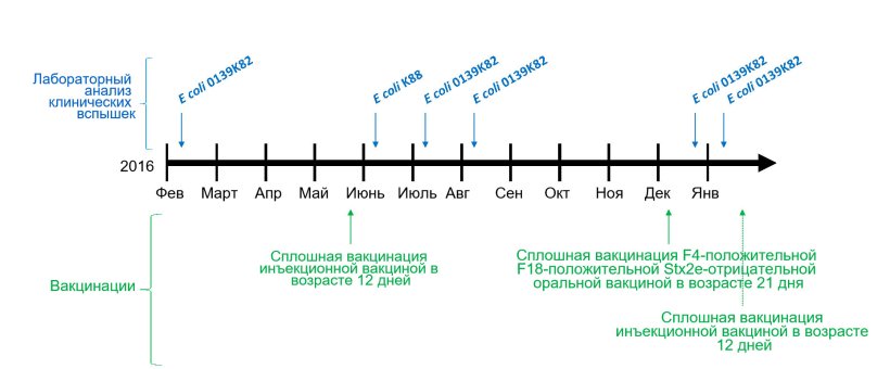 Рисунок 1: Лабораторный анализ клинических вспышек и календарь вакцинации vaccinations calendar
