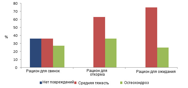 Распространение повреждений копытец у свинок в зависимости от рациона кормления в фазу роста.
