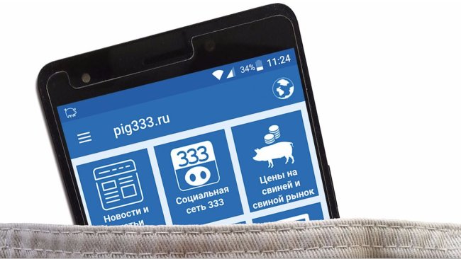 App 333