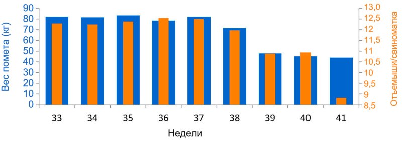 График 3. Средний показатель отъёмышей на самку в количественном и весовом выражении помета, до и во время ЭДС (начиная с 38 недели).
