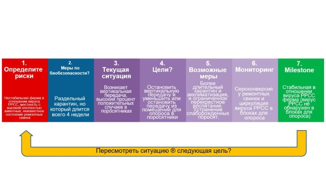 Биобезопасность при контроле вируса РРСС
