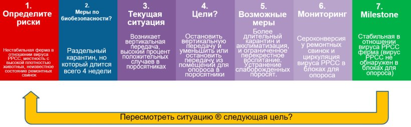 Биобезопасность при контроле вируса РРСС
