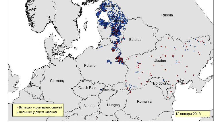 ASF outbreaks notified in Eastern Europe since June 2017 (Source: RASVE-ADNS)
