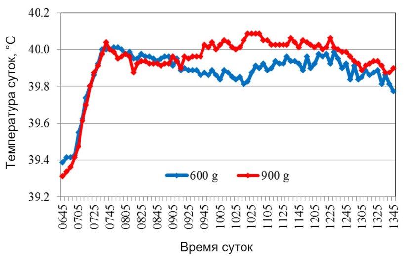 Рис. 2. Средняя температура тела после кормления зафиксирована в 07: 00.

