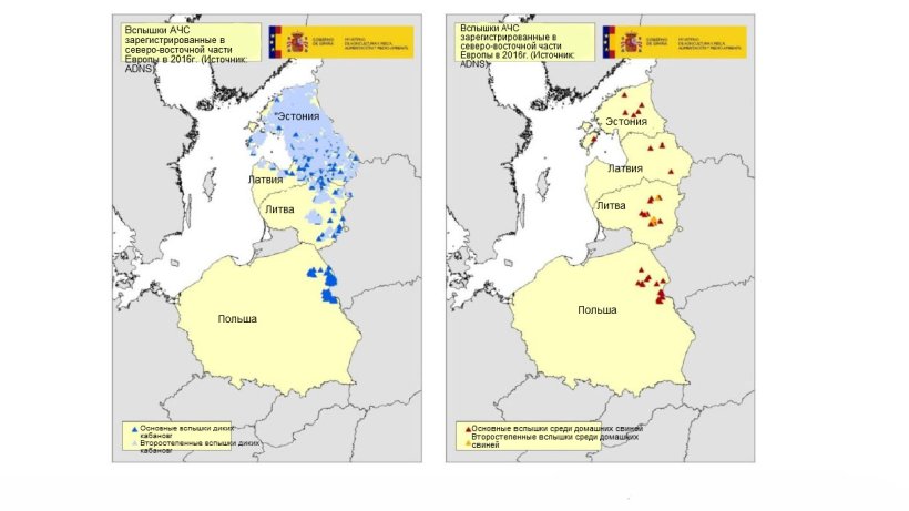 Карта вспышек, зарегистрированных в Эстонии, Латвии, Литве и Польше в 2016г. (Источник:RASVE-ADNS)
