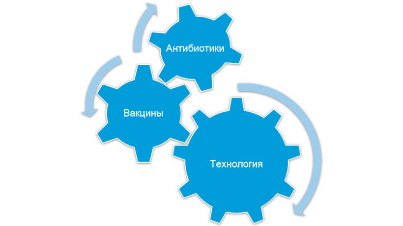 Рисунок 1. Полный контроль над Mycoplasma hyopneumoniae достигается, если комбинируются &nbsp;различные стратегии.
