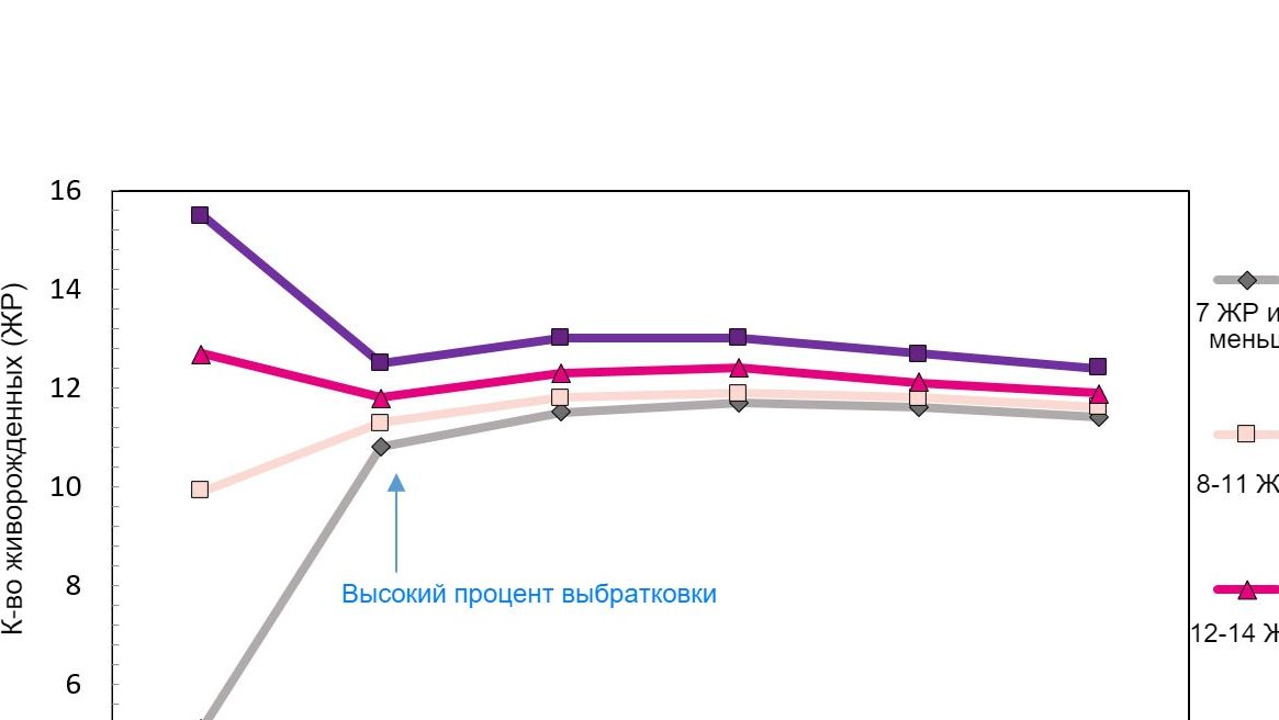 Диаграмма 1. Продуктивность свиноматки за период ее использования, в зависимости от количества родившихся поросят.
