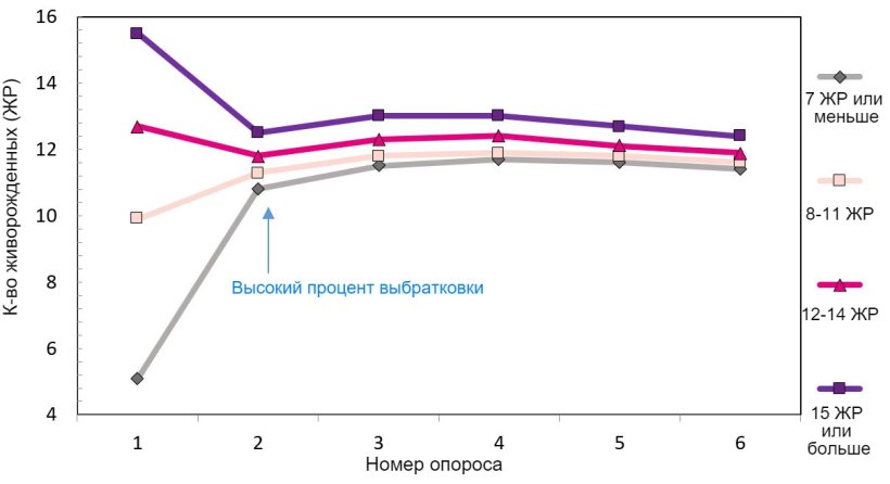 Диаграмма 1. Продуктивность свиноматки за период ее использования, в зависимости от количества родившихся поросят.

