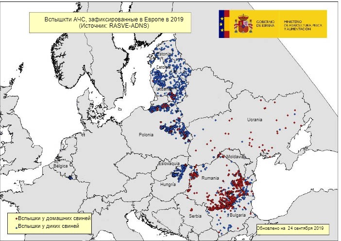 Карта вспышек АЧС в ЕС и Украине в 2019
