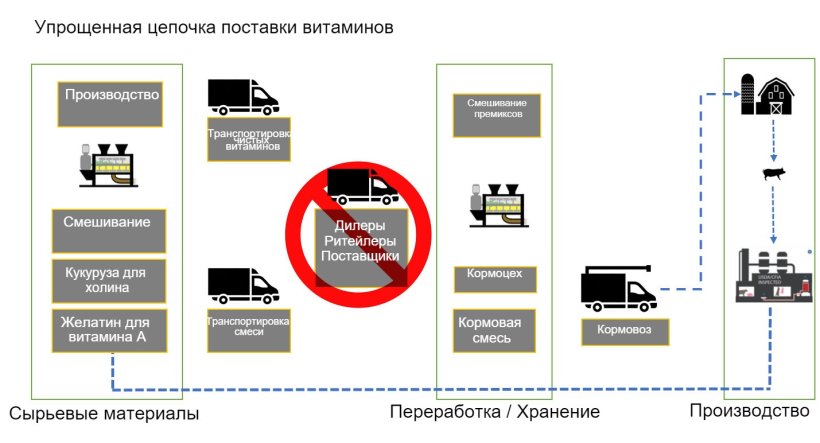 Рисунок 1. Общее описание цепочки поставок витаминов для корма животных.

