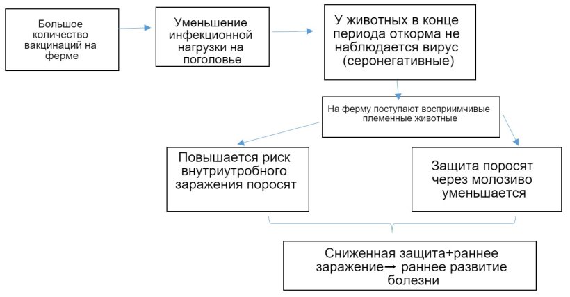 Рисунок 1: Развитие эпидемиологии инфекции ЦВС-2 в контексте регулярной вакцинации&nbsp;
