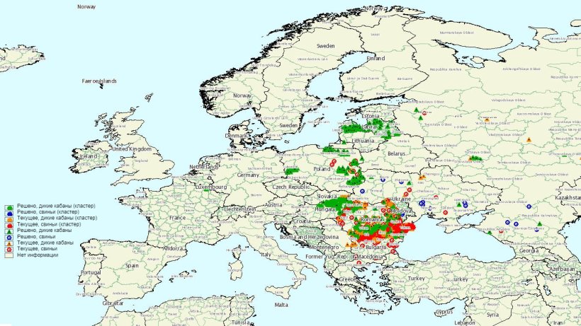 ASF outbreaks on 1Q 2020
