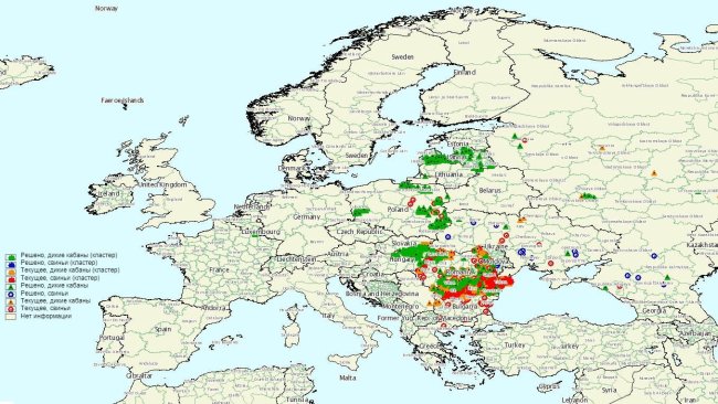 ASF outbreaks on 1Q 2020
