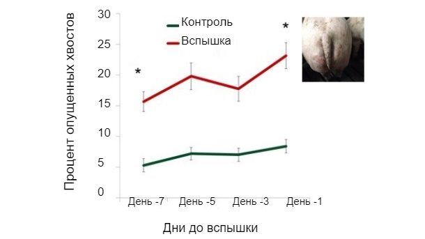 График 1. Доля опущенных хвостов в соответствие с днями до вспышки
