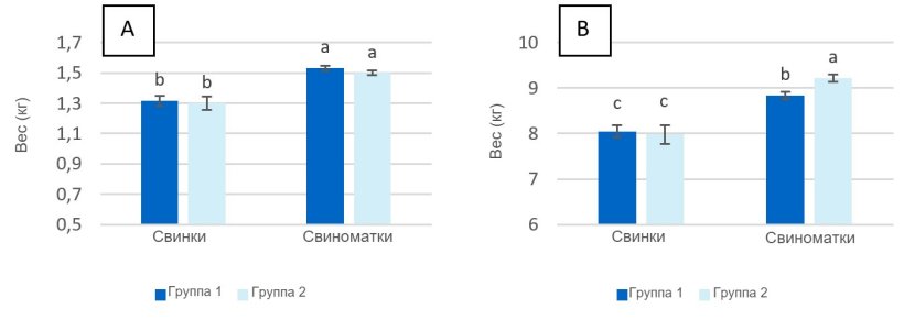 График 2. Вес поросят при рождении (A) и при отъеме (28 день лактации (B) от свинок и свиноматок, которым давали максимум 2,8 кг/день (Группа 1) и 4,20 кг/день (Группа 2) корма в течение нескольких дней перед опоросом.

