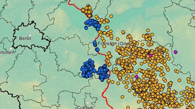 Африканская чума свиней в Германии и на западе Польше с сентября 2020: Источник: ADIS, TSN (по состоянию на 21 мая 2021).
