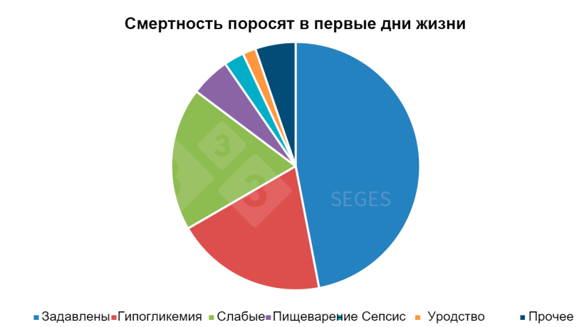 График 1. Этиология смертности поросят в первые несколько дней жизни&nbsp;(SEGES, 2017).
