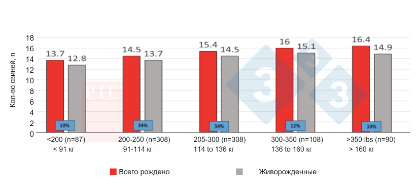 Фото 1.&nbsp;Влияние потребления корма при первом опоросе&nbsp;на размер помета при втором опоросе. Потребление корма при первом&nbsp;опоросе влияет на размер помета при втором опоросе. Снижение ограничений на кормление молодых самок окупается. Источник: PIC North America Technical Services (не опубликовано).
