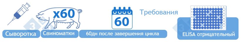 Категория IV Отрицательная&nbsp;Тестирование сыворотки&nbsp;от 60 взрослых племенных животных с помощью ELISA через 60 дней после завершения цикла. Для достижения этой категории не требуется никаких положительных результатов. Альтернативно, категория IV начинается через год после получения статуса категории III, если не было зарегистрировано ни одного положительного результата через ELISA. Повторно заселенное&nbsp;поголовье с наивными животными попадают в эту категорию после отрицательных результатов тестов.
