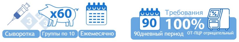 Категория II Положительная Стабильная. ВАРИАНТ&nbsp;1) Сыворотка 60 поросят-отъемышей тестировалась в группах по 10 образцов. Для перехода в эту категорию все партии за 90-дневный период должны быть отрицательными при ОТ-ПЦР на вирус РРСС.
