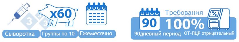 Категория IIvx Положительная Стабильная с вакцинацией&nbsp;ВАРИАНТ 1) Сыворотка 60 поросят-отъемышей тестировалась в&nbsp; группах по 10 образцов ежемесячно. Для перехода в эту категорию все партии за 90-дневный период должны быть отрицательными при ОТ-ПЦР на вирус РРСС. Если положительный образец обнаружен с помощью ОТ-ПЦР более чем через две недели после вакцинации стада, вирус дикого типа должен быть удален с помощью доступных диагностических методов, таких как секвенирование.
