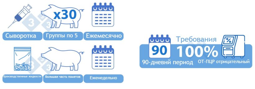 Категория IIvx Положительная Стабильная с вакцинацией ВАРИАНТ 2) Комбинация сыворотки и производственных жидкостей. Сыворотка от 30 поросят-отъемышей тестировалась в группах раз в пять месяцев. Один объединенный образец производственных жидкостей еженедельно тестируется методом ОТ-ПЦР. В выборке должно быть представлено большинство пометов, обработанных в течение недели. Все пробы должны быть отрицательными в течение 90 дней для достижения этой категории. Если положительный образец обнаружен с помощью ОТ-ПЦР более чем через две недели после вакцинации поголовья, вирус дикого типа должен быть удален с помощью доступных диагностических методов, таких как секвенирование.
