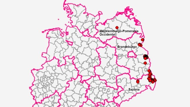 Земли в Германии, в которых обнаружена АЧС. Источник: FLI.