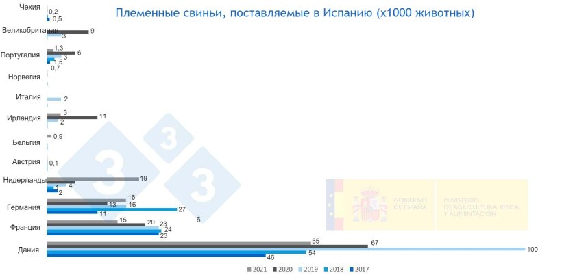 Фото 2. Племенные свиньи, поставляемые в Испанию с 2017 по 2021. Источник: MAPA.
