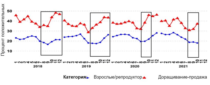 Фото 1. Процент ПЦР-позитивных заявок на вирус РРСС для возрастных категорий фермы для взрослых/свиноматок и отъемышей на рынок с течением времени. Черные прямоугольники демонстрируют более выраженные и/или более ранние всплески в данных по доращиванию и откорму по сравнению с репродукторами. Источник:&nbsp;ISU-VDL: Iowa State University Veterinary and Diagnostic Laboratory; UMN-VDL: University of Minnesota Veterinary and Diagnostic Laboratory; SDSU-ADRDL; South Dakota State University Animal Disease Research and Diagnostic Laboratory; KSU-VDL: Kansas State University Veterinary and Diagnostic Laboratory; OH-ADDL: Ohio Animal Disease and Diagnostic Laboratory.
