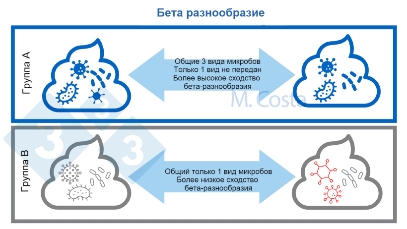 Фото 3. Понимание изменений в микробном составе между образцами (бета-разнообразие). Более похожее микробное сообщество разделяет большее количество типов микробов между образцами. Обычно при расчете индекса бета-разнообразия учитывают и другие аспекты (например, генетические связи между микробами).
