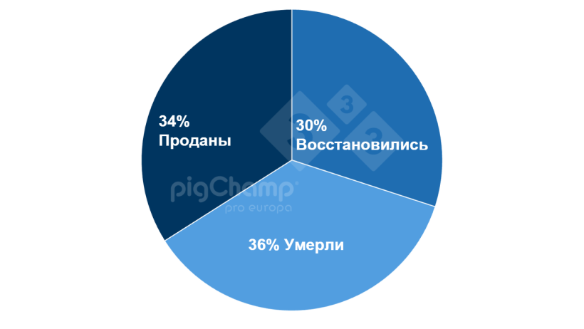 График 2.Распределение свиноматок без отъема по последующему назначению, период отъема с 20 июля по 21 июня.
