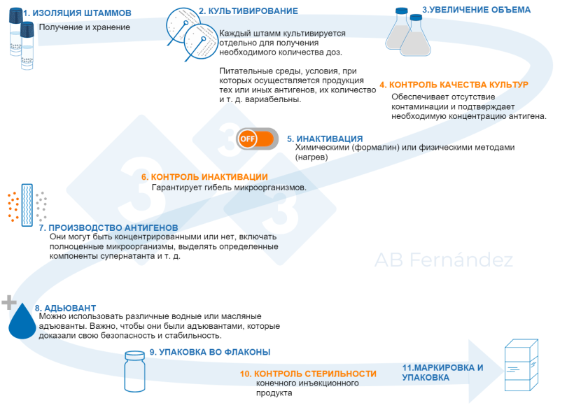 Рисунок 1. Принципиальная схема производства аутогенной вакцины.
