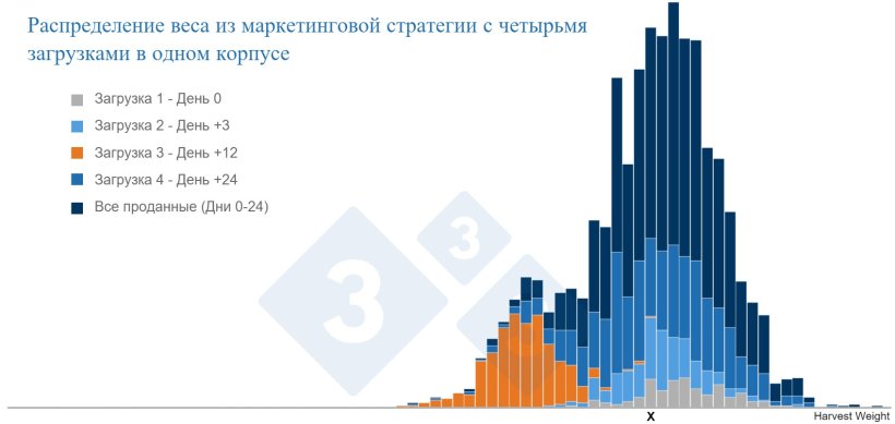 Отчетливо видно, что животные с массой &laquo;X&raquo; принадлежат к 4 различным субпопуляциям.
