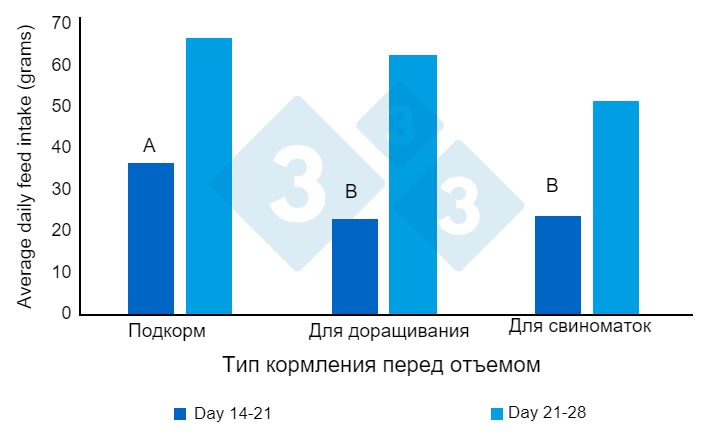 Рисунок 1. Среднесуточное потребление корма&nbsp;(граммы/день) перед отъемом. Адаптировано от&nbsp;Heo et al. (2018). Различные верхние индексы (AB) в столбцах указывают на тенденцию к значительной разнице между методами&nbsp; (P<0,10).
