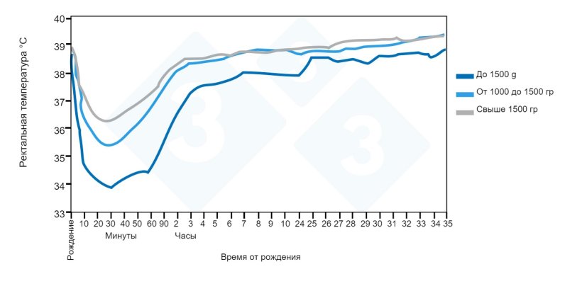 Рисунок 2. Динамика ректальной температуры от рождения до 35-часового возраста в зависимости от весовой группы при рождении. Источник: Паттисон, Инглиш, Макферсон и Бирни, 1989 г.
