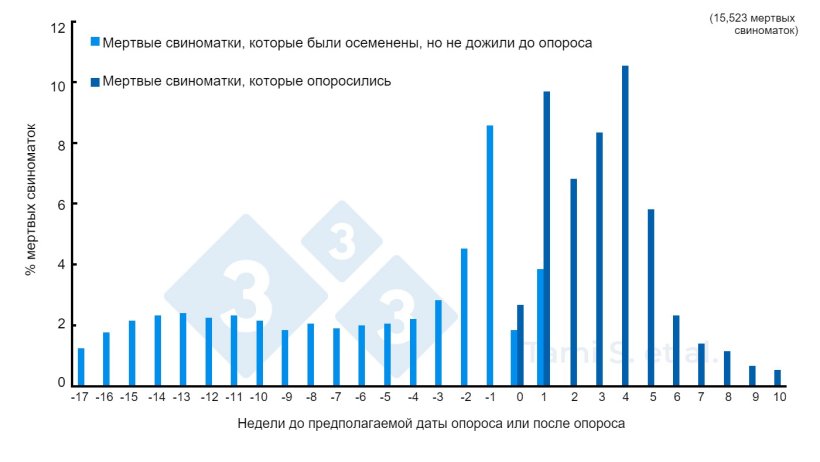 Рисунок 1. Относительная частота (%) гибели свиноматок до или после опороса из общего числа 7778 осемененных свиноматок плюс 7745 опоросившихся свиноматок. Источник: Tami S. et al. 2017.
